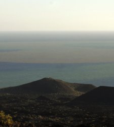 ESPAÑA / Canarias: El milagro del volcán en El Hierro: genera vida más rápido