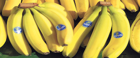 Chiquita Brands rechaza oferta de compra de dos grupos brasileños - 200x125