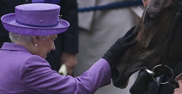 Un caballo de la reina Isabel II da positivo por morfina