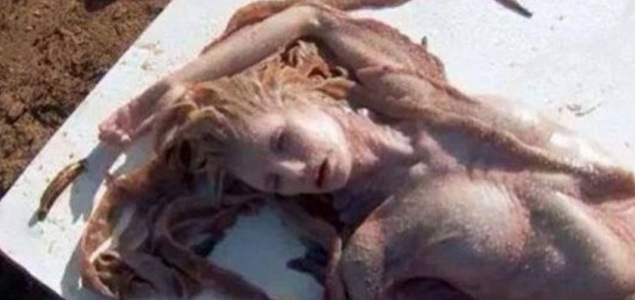 Lo que parece ser una sirena muerta en una playa conmociona a México - 200x125