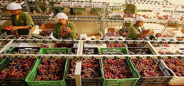 exportacionesagricolas_635x300.jpg -