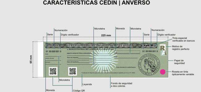 Cedin--650x300.jpg -