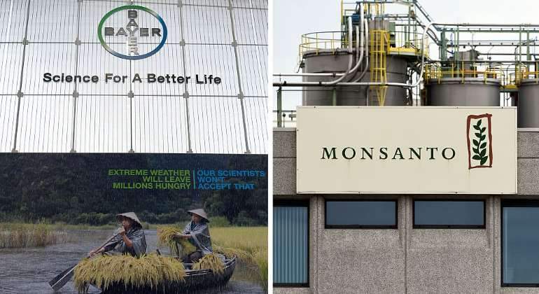 bayer monsanto