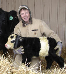 La Vaca-panda con su dueño. La Vaca-panda con su dueño.