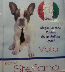 Vota Stefano. El alcalde perrón. Vota Stefano. El alcalde perrón.